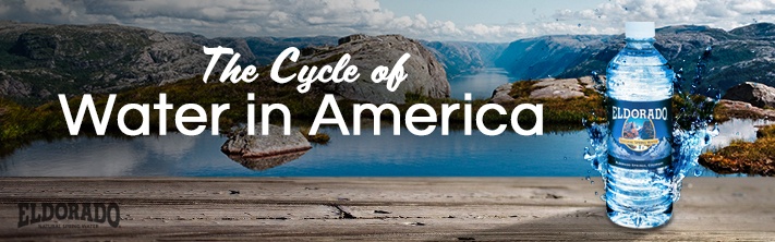 Cycle of Water Popularity as a Beverage