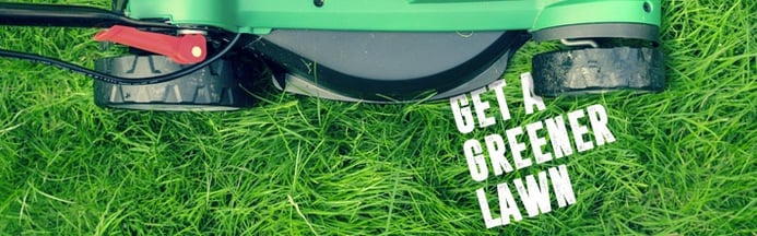 How to get a greener lawn