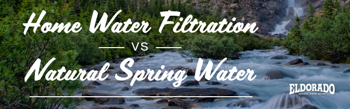 Home water filtration vs spring water