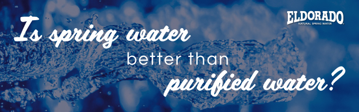 Is Spring Water Better Than Purified Water?