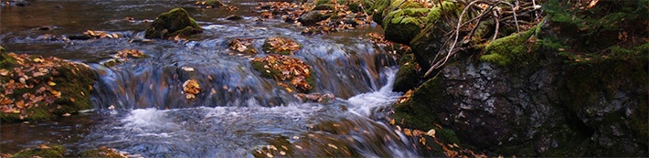 The different types of water