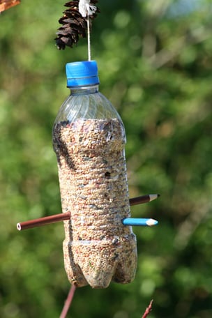 Recycled bottle bird feeder