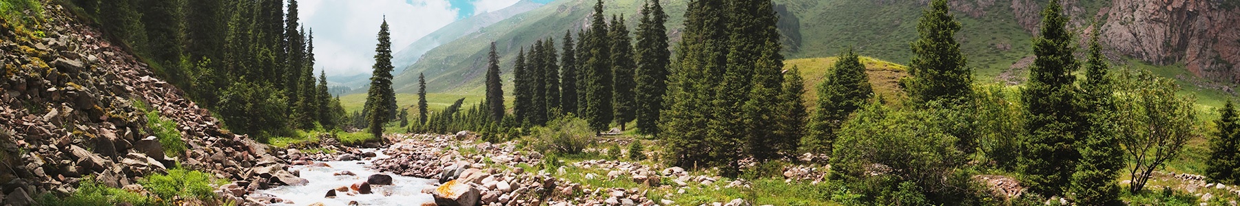 Contact Eldorado Natural Spring Water Contact Eldorado Natural Spring Water