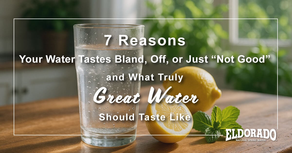great tasting water on a counter with lemon