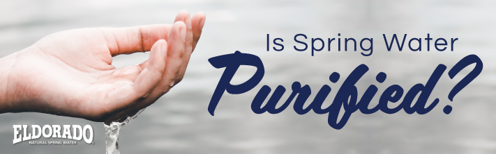 Is Spring Water Purified?