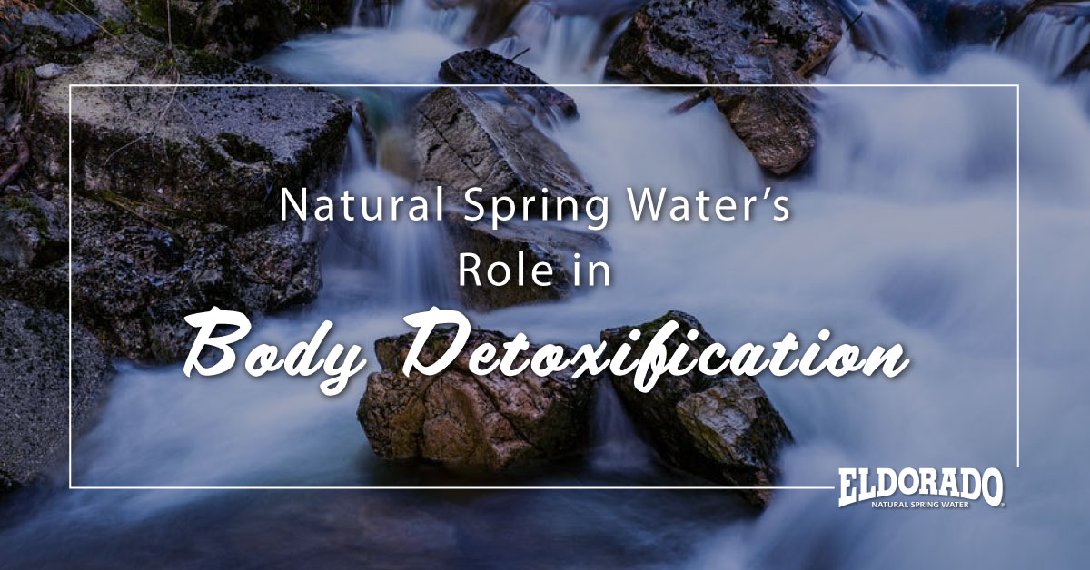 Natural Spring Water’s Role in Body Detoxification
