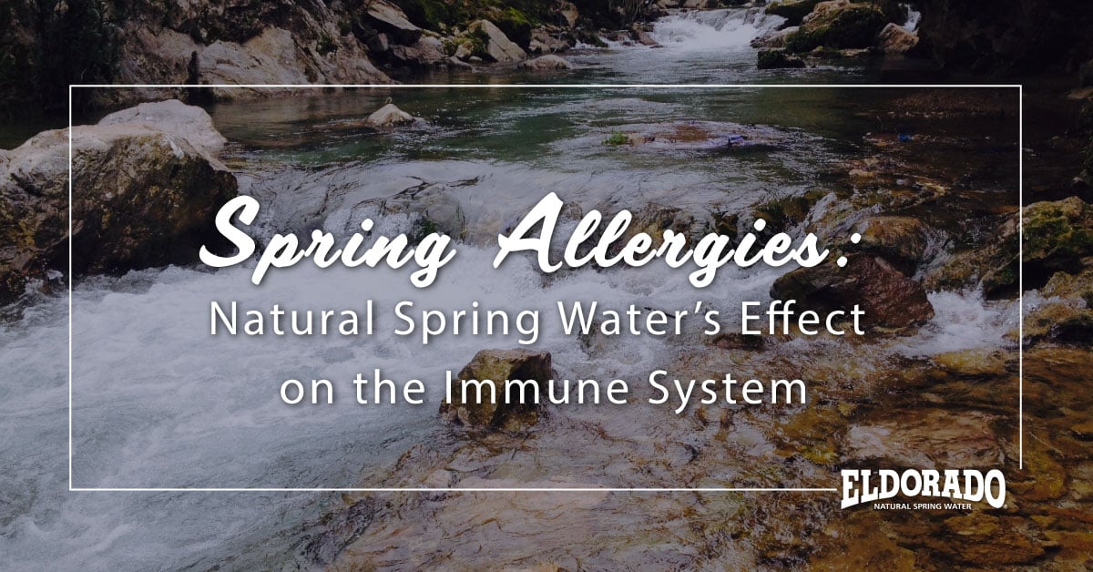 Spring Allergies: Natural Spring Water’s Effect on the Immune System
