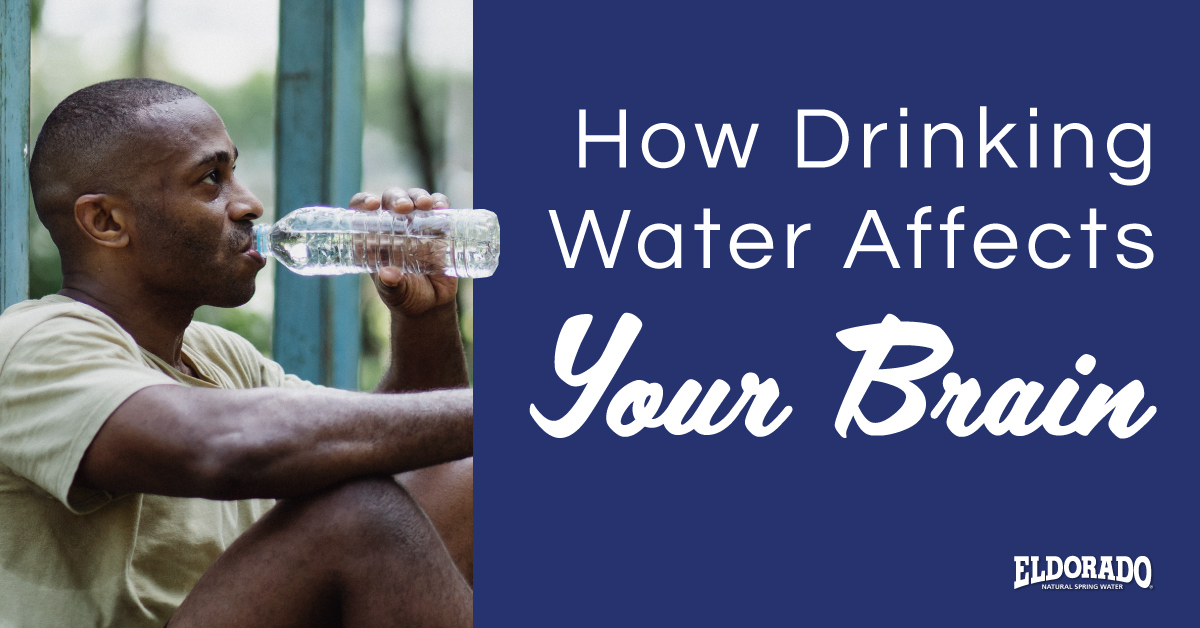 How Drinking Water Affects Your Brain