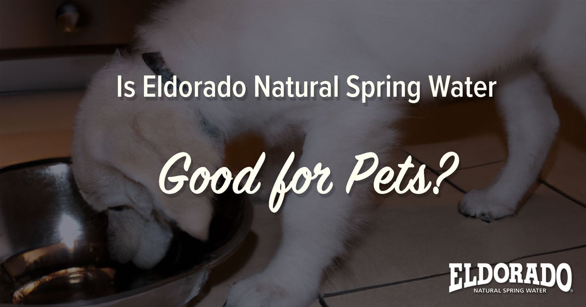 Is Eldorado Natural Spring Water Good for Pets?