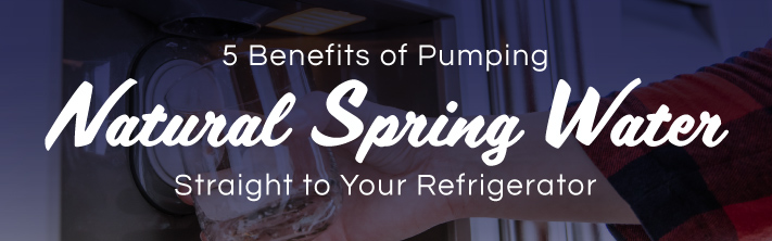 5 Benefits of Pumping Natural Spring Water Straight to Your Refrigerator