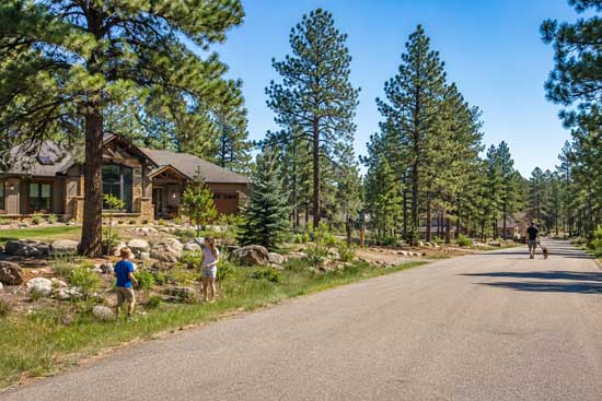 Water Delivery in Black Forest, CO — <br>Pure Colorado Spring Water <br>Delivered to Your Door